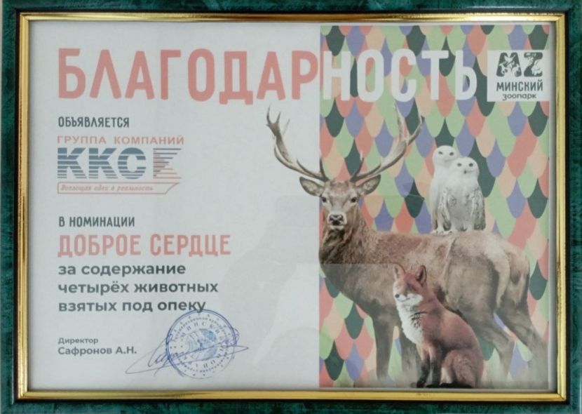 Благодарность компании ККС от Минского городского зоопарка